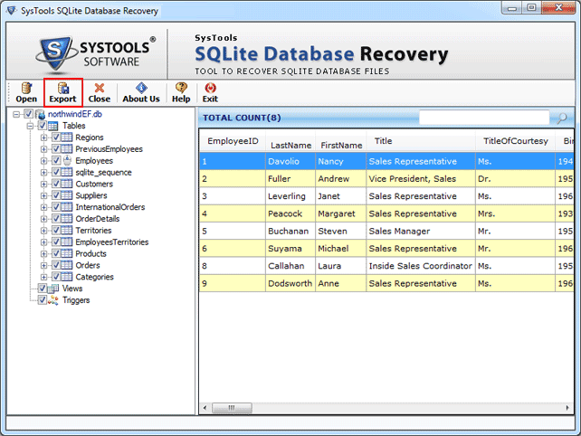 Access SQLite Database screen shot