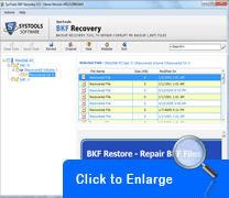 Screenshot - Repair Corrupt MS Backup