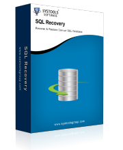 SQL Server Database Recovery