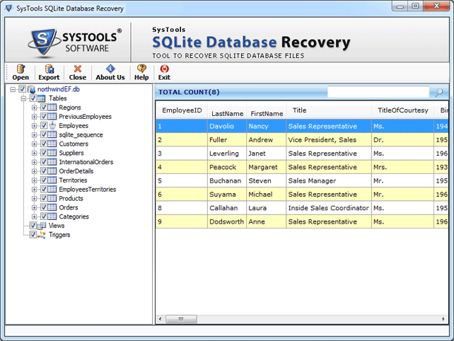 repaired Sqlite database files preview
